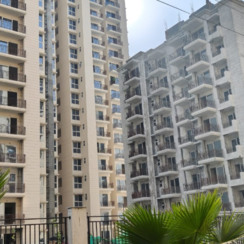 2 BHK + Pooja Room Apartment For Sale in Signature Global Proxima Phase 2