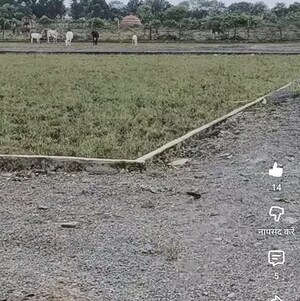 Plot Area in  Plot at Bagaha – for Sale