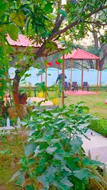 1000 Sq.Ft. Plot in Sitapur Road Lucknow