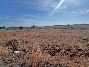  Industrial Plot For Sale in Peth Road