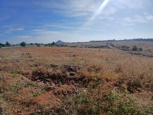 Plot Area in  Industrial Plot at Peth Road – for Sale