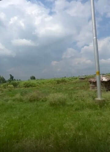  Industrial Plot For Sale in Sector 29 Yamuna Expressway