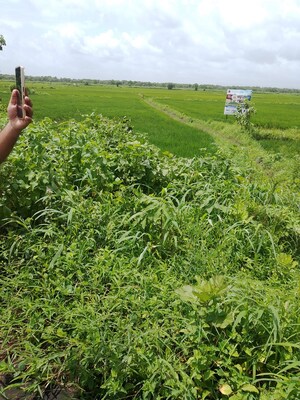  Plot – Garden View at Vindhane - for Sale