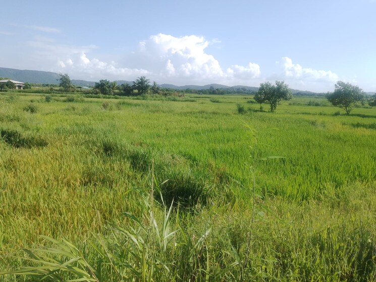 undefined, vindhane  1089 Sq.Ft. Plot In Vindhane Navi Mumbai 9677182