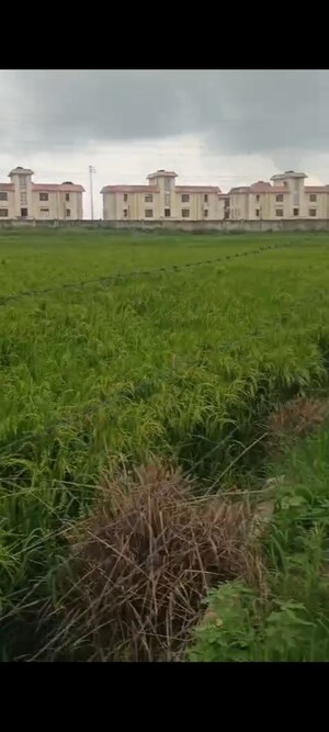  Plot For Sale in Jewar