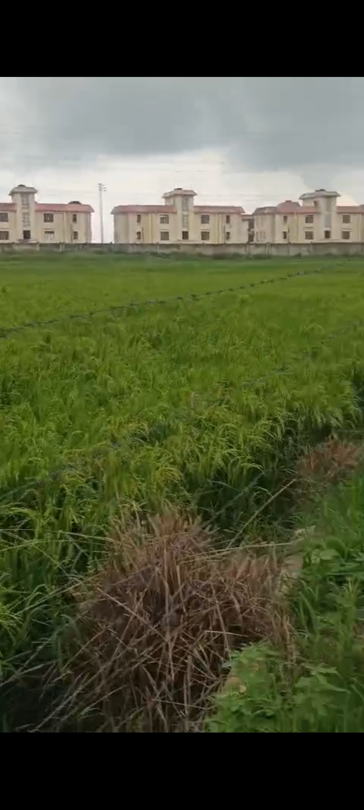 Plot For Sale in Khurja Junction To Jewar 