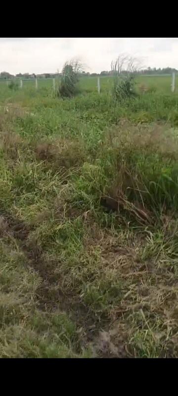 Plot Area in  Plot at Jewar – for Sale