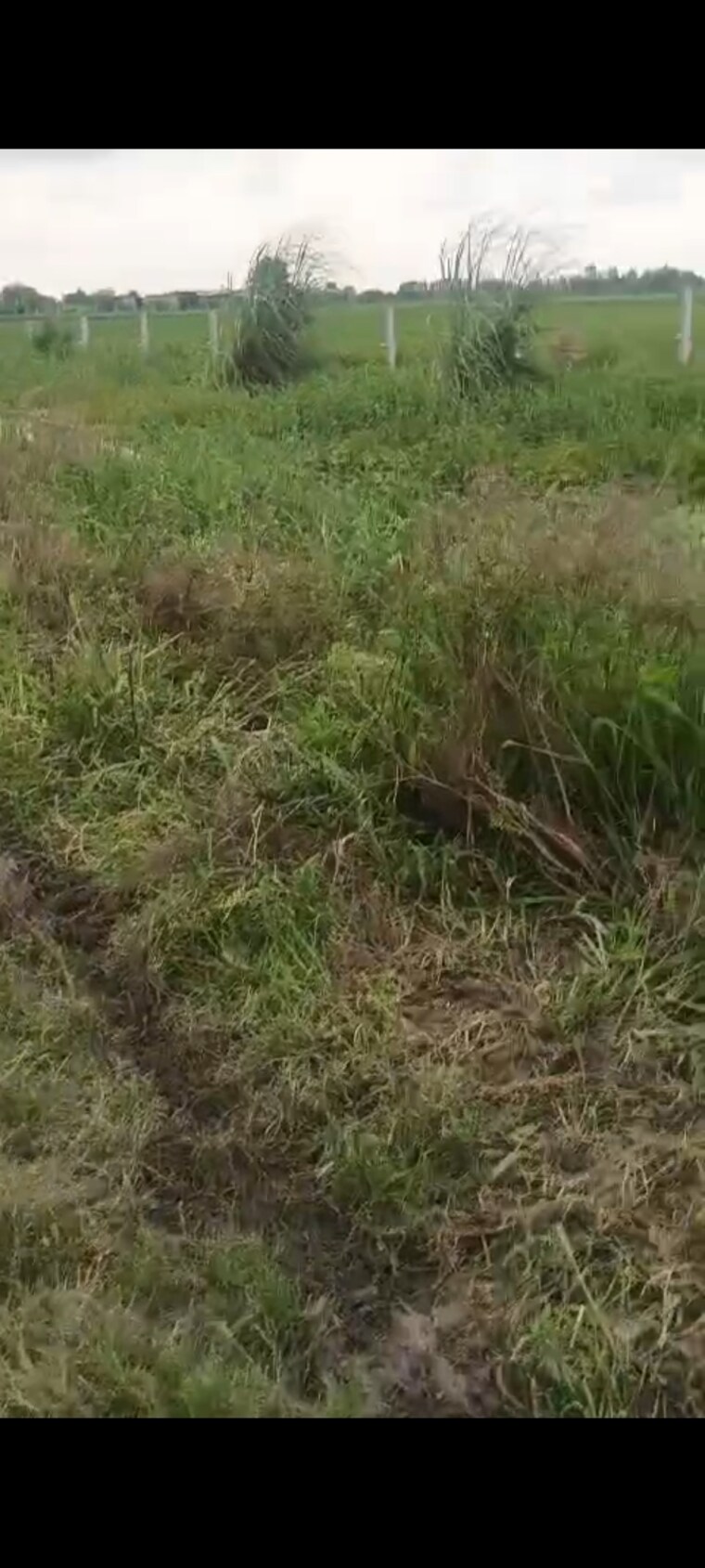 undefined, jewar  300 Sq.Yd. Plot In Jewar Greater Noida 9677266