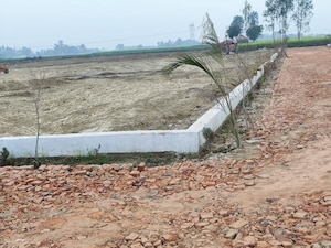 Plot Area in  Plot at Parao – for Sale