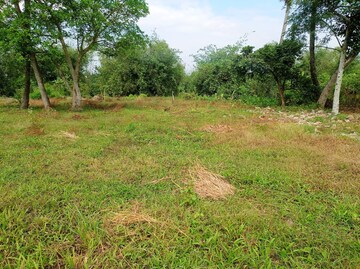 Plot Area in  Plot at Sonarpur – for Sale