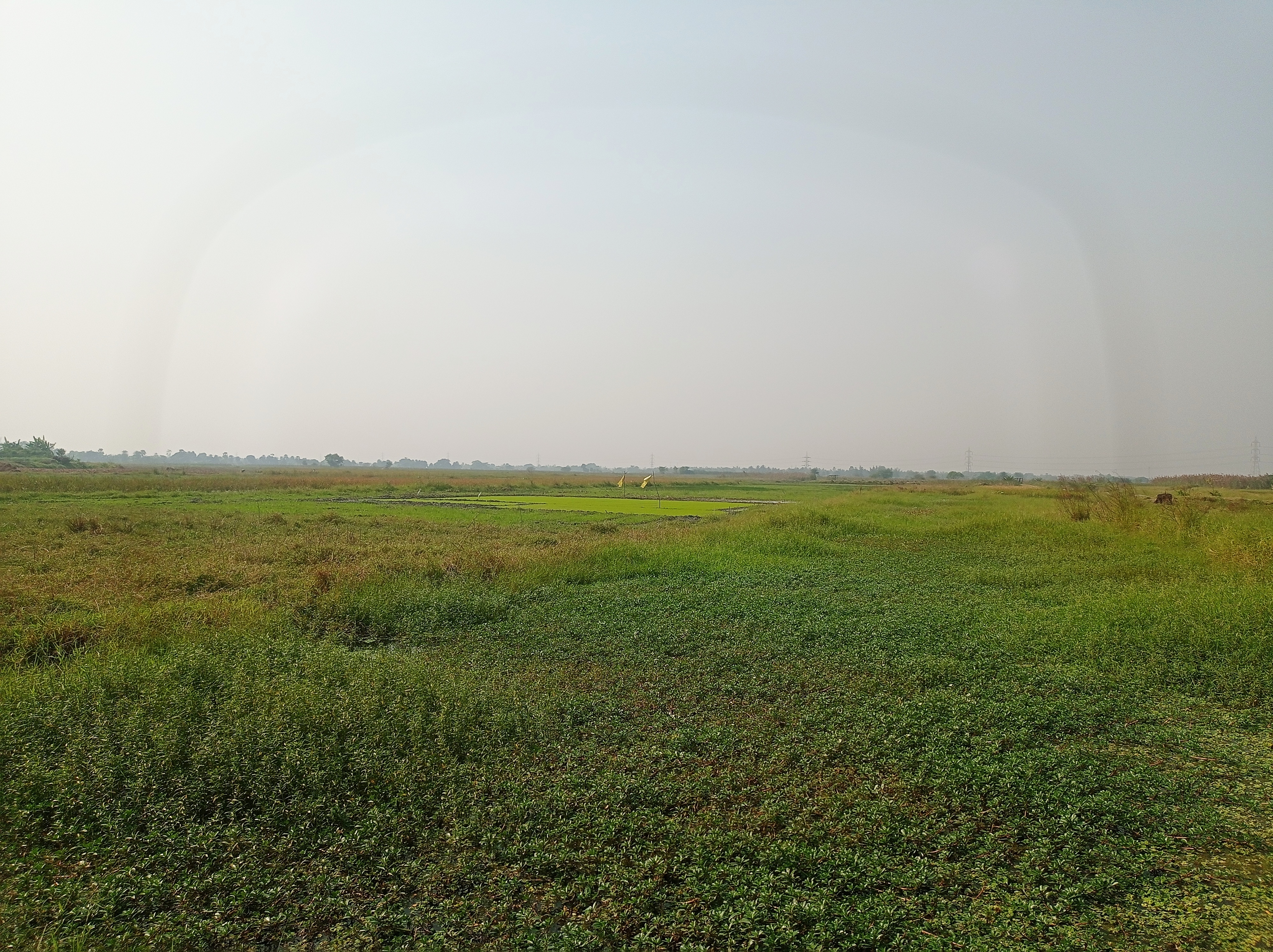 Plot For Sale in Sonarpur