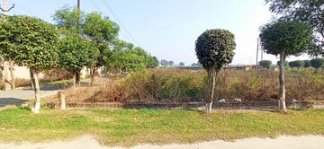 Plot Area in  Plot at Sector 104 – for Sale
