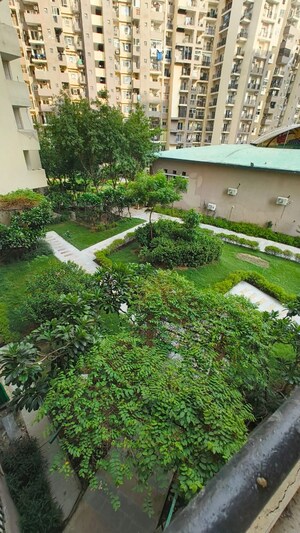 3.5 BHK Apartment – Garden View at Paramount Floraville, Sector 137 - for Sale