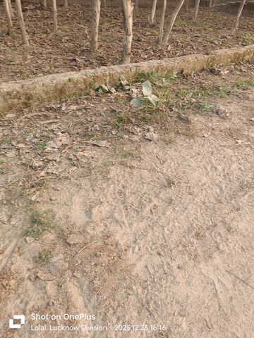 Plot Area in  Plot at Gomti Nagar – for Sale