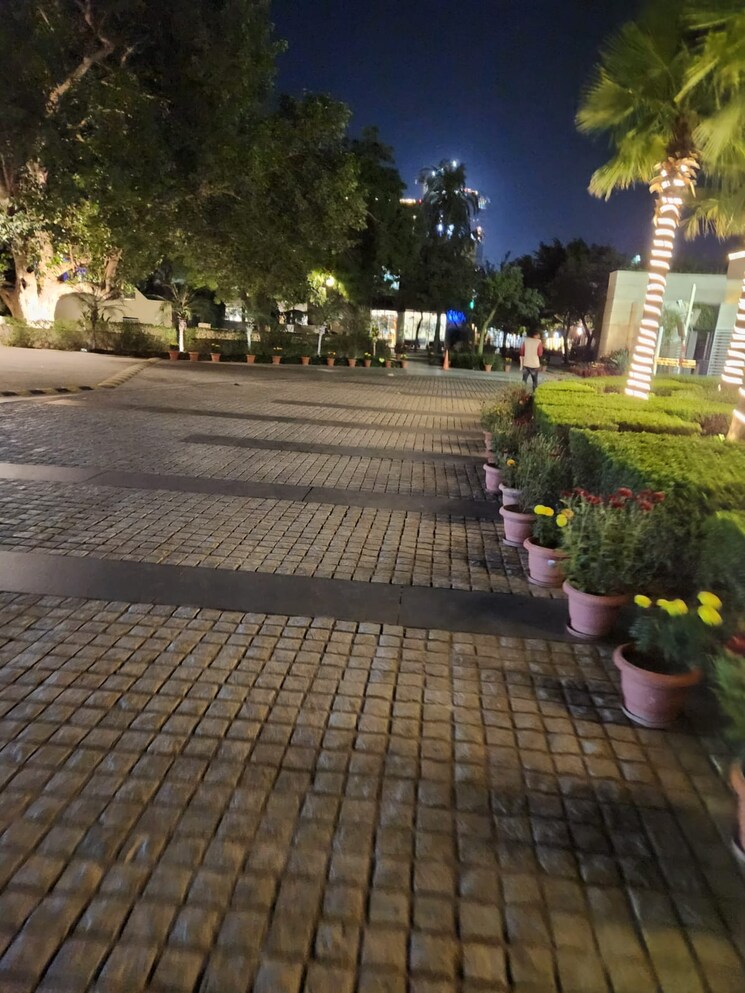 Garden, dlf-the-belaire 4 Bedroom 3000 Sq.Ft. Apartment In Sector 54 Gurgaon 9678796