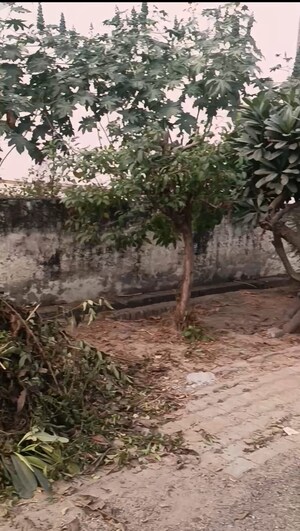  Plot For Sale in Modipuram