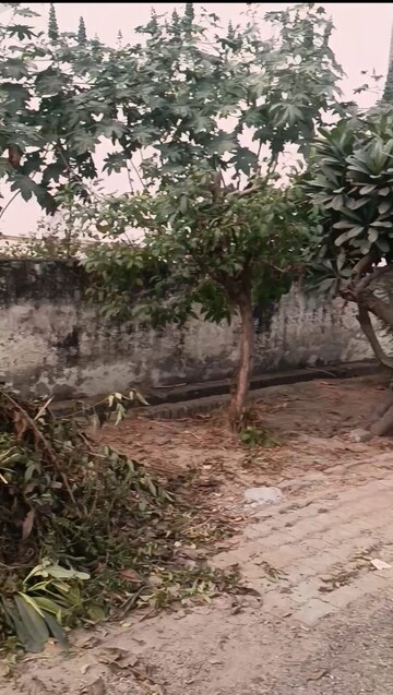  Plot For Sale in Modipuram