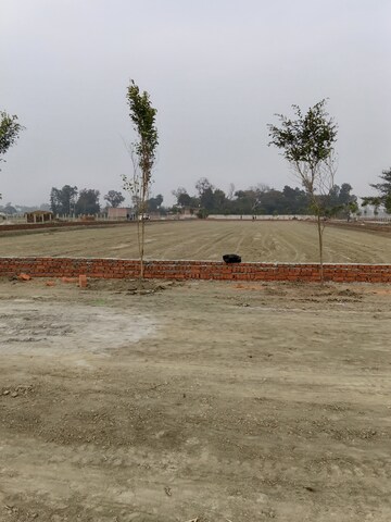  Plot For Sale in Gosainganj