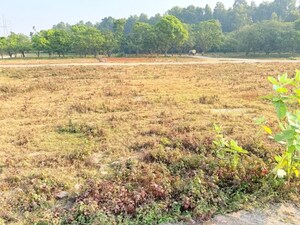  Plot For Sale in Shimla Bypass Road