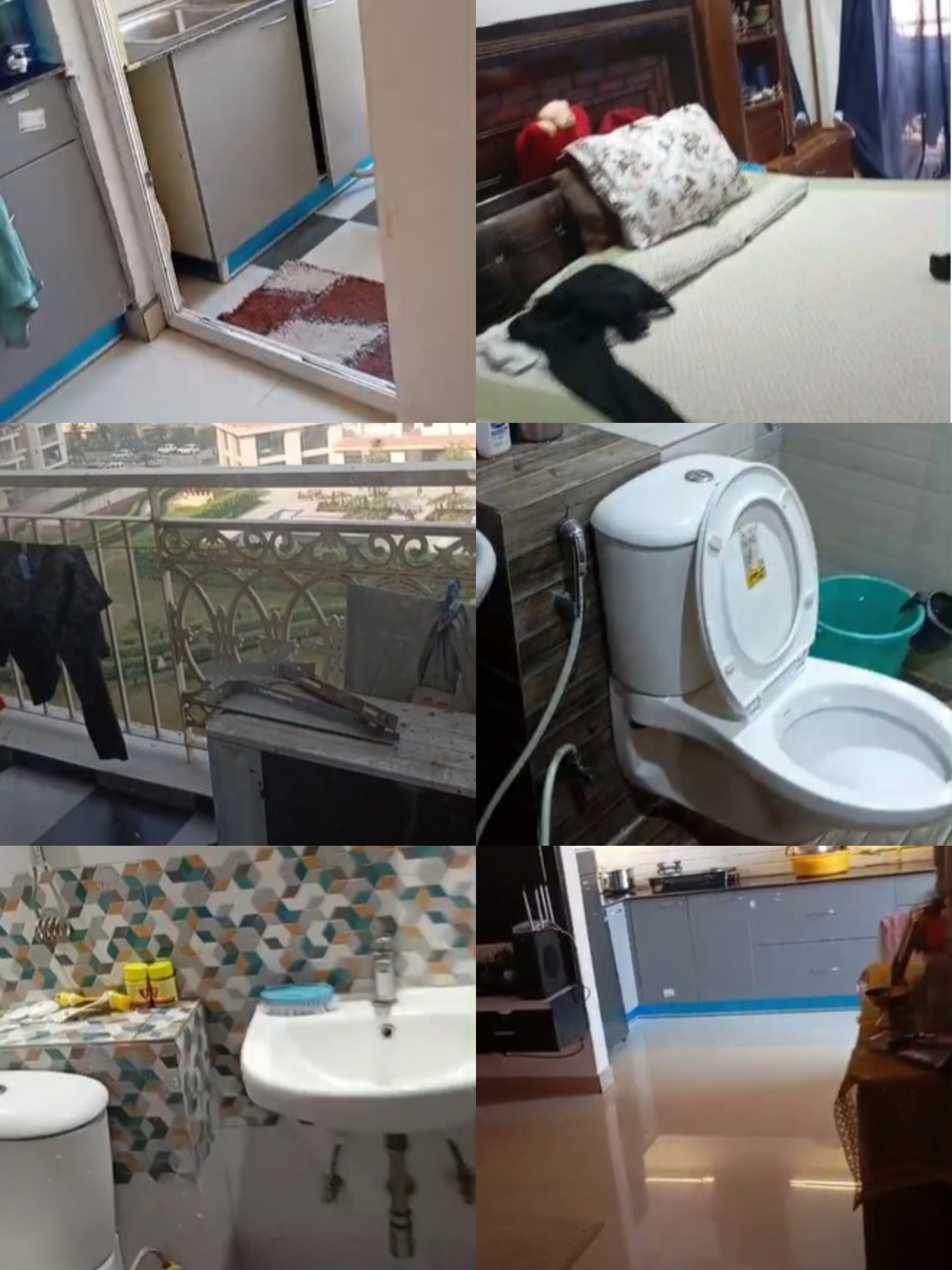 2 BHK + Extra Room Apartment For Rent in White Lily Residency