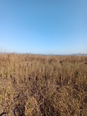  Land For Sale in Chirner