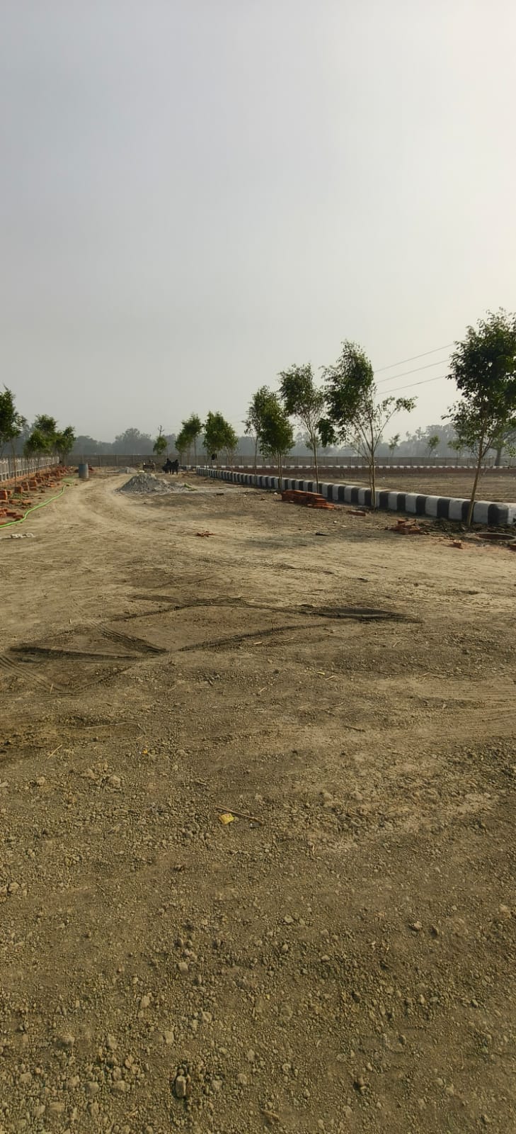 Plot For Sale in Gosainganj