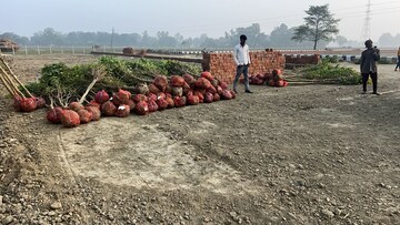  Plot – Exterior View View at Gosainganj - for Sale