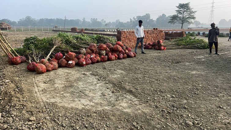 Exterior View, gosainganj  1228 Sq.Ft. Plot In Gosainganj Lucknow 9680125