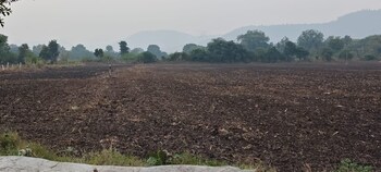 Land for Sale in Super Corridor, Indore