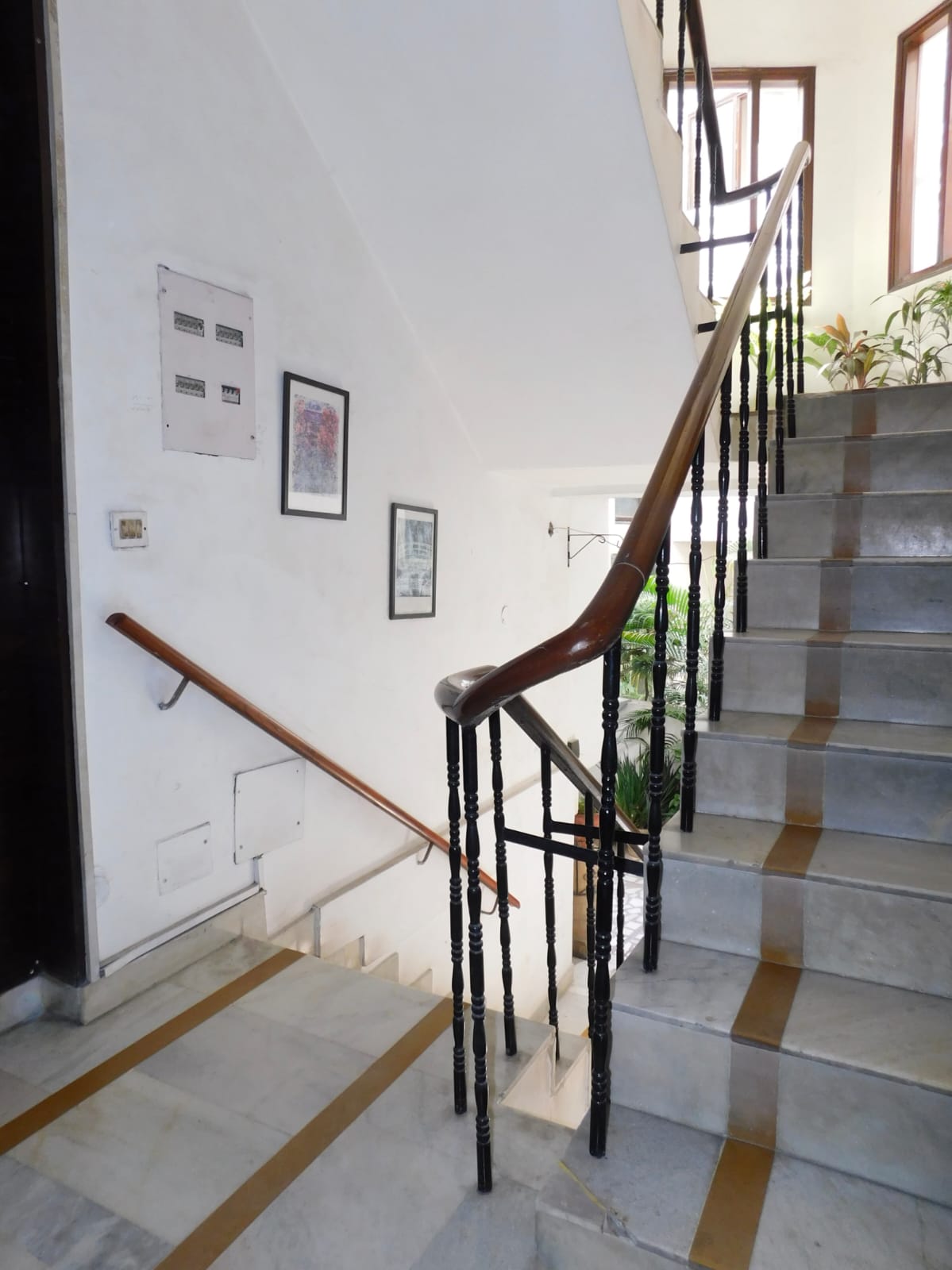 3 BHK + Extra Room Builder Floor For Rent in RWA Hauz Khas Block C 5