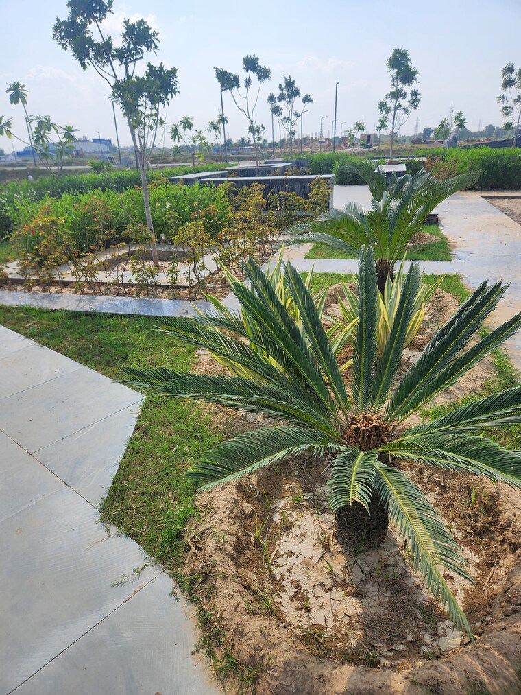 Garden, jms-the-pearl  131 Sq.Yd. Plot In Sector 95 Gurgaon 9681242