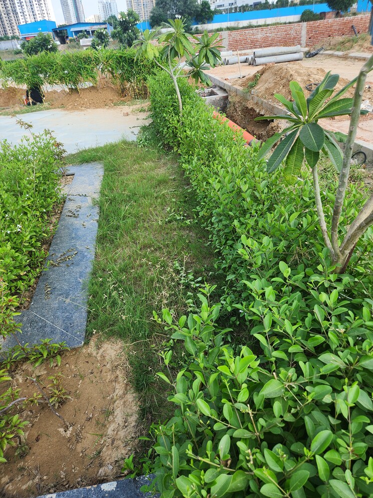 Garden, jms-the-pearl  131 Sq.Yd. Plot In Sector 95 Gurgaon 9681242