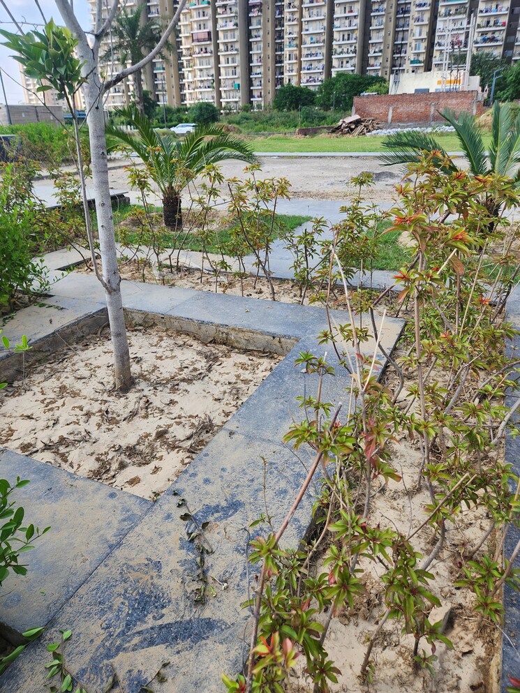 Master Plan, jms-the-pearl  131 Sq.Ft. Plot In Sector 95 Gurgaon 9681248