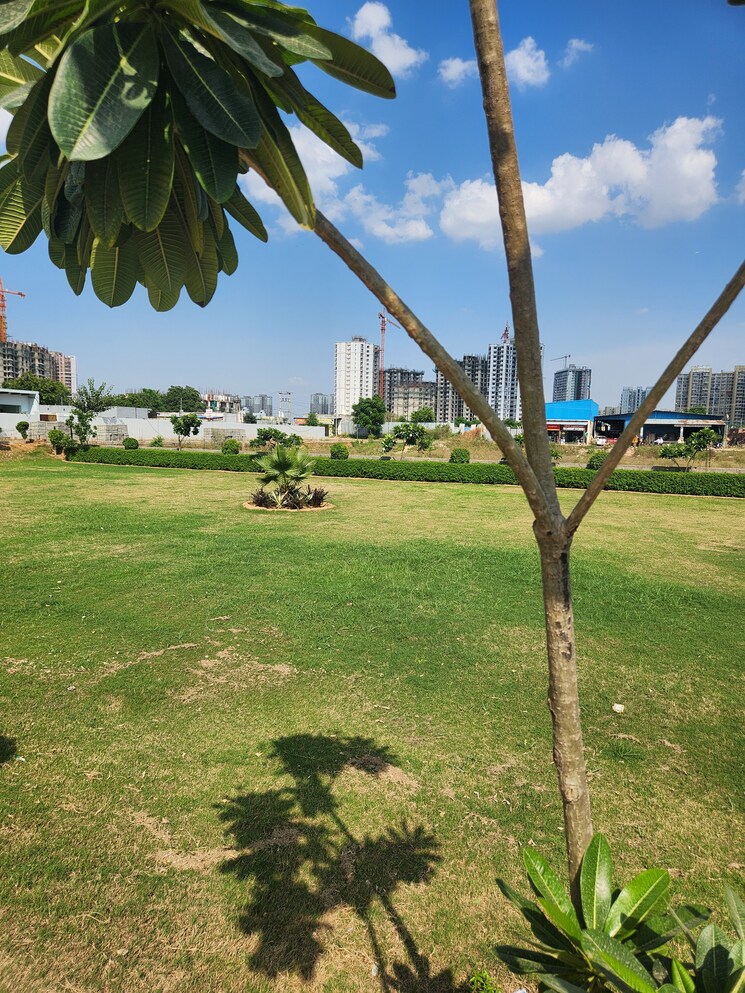 Garden, jms-the-pearl  144 Sq.Ft. Plot In Sector 95 Gurgaon 9681252