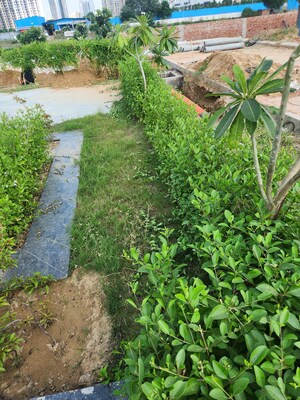  Plot – Garden View at JMS The Pearl, Sector 95 - for Sale