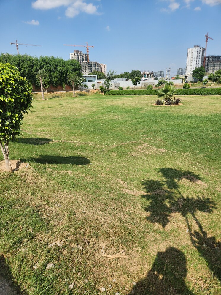 Garden, jms-the-pearl  144 Sq.Ft. Plot In Sector 95 Gurgaon 9681255