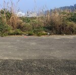 250 Sq.Yd. Plot in Sector-1