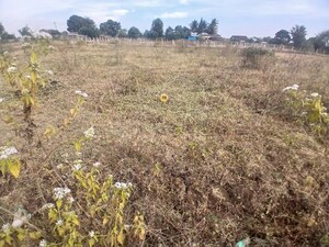 Plot Area in  Plot at Adgaon – for Sale