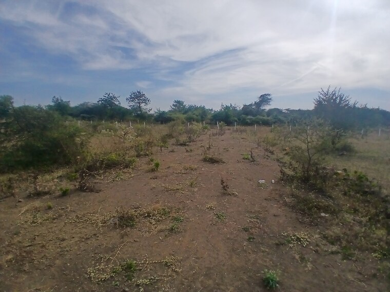 undefined, adgaon  69 Sq.Yd. Plot In Adgaon Nashik 9670063