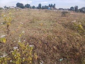 Plot Area in  Plot at Adgaon – for Sale