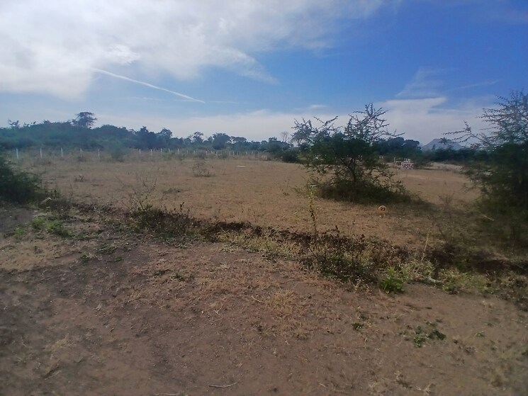 undefined, adgaon  69 Sq.Yd. Plot In Adgaon Nashik 9670063