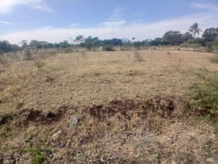 undefined, adgaon  69 Sq.Yd. Plot In Adgaon Nashik 9670063