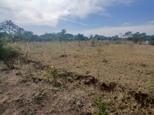 Plot Area in  Plot at Adgaon – for Sale