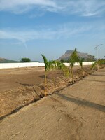 10 Sq.Yd. Plot in Peth Road