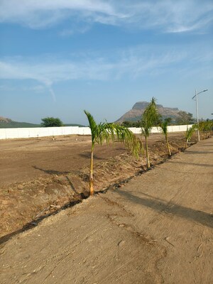  Plot For Sale in Peth Road