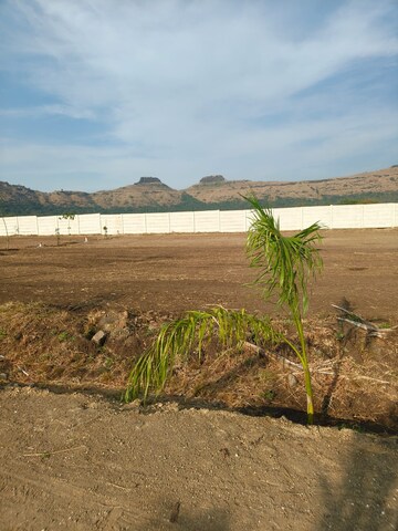 Plot Area in  Plot at Peth Road – for Sale