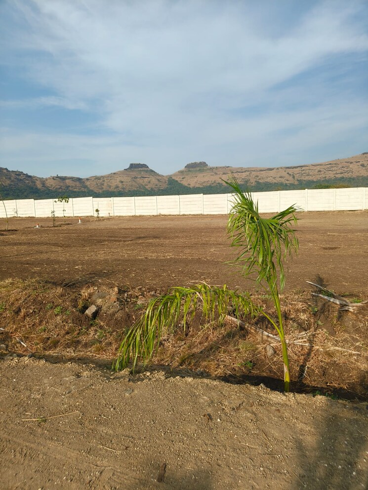 undefined, peth road  10 Sq.Yd. Plot In Peth Road Nashik 9681555