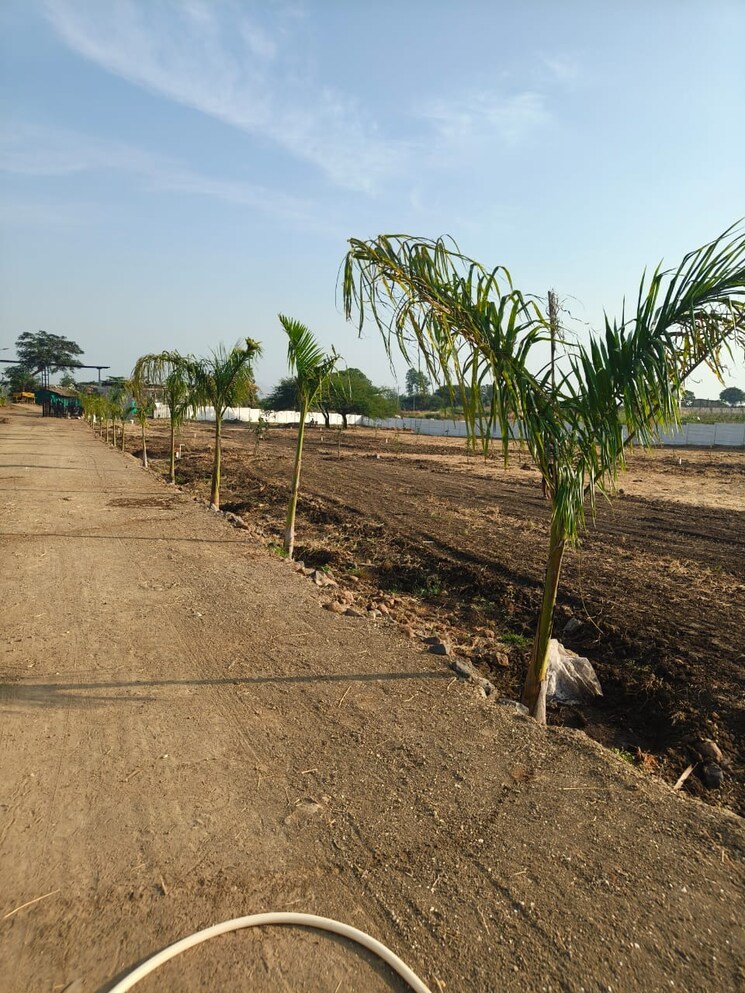 undefined, peth road  10 Sq.Yd. Plot In Peth Road Nashik 9681555