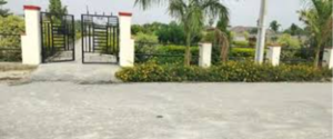  Plot For Sale in Shadnagar