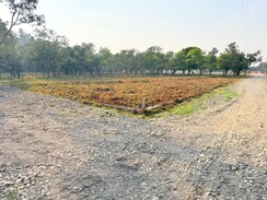 Plot For Sale in Shimla Bypass Road